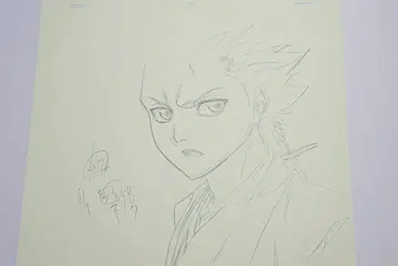 블리치 BLEACH 히즈카야 토시로 원화 세트