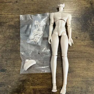 두근거리는 순간, 시칠리아의 추억 바디 인형 바디 핸드 부품