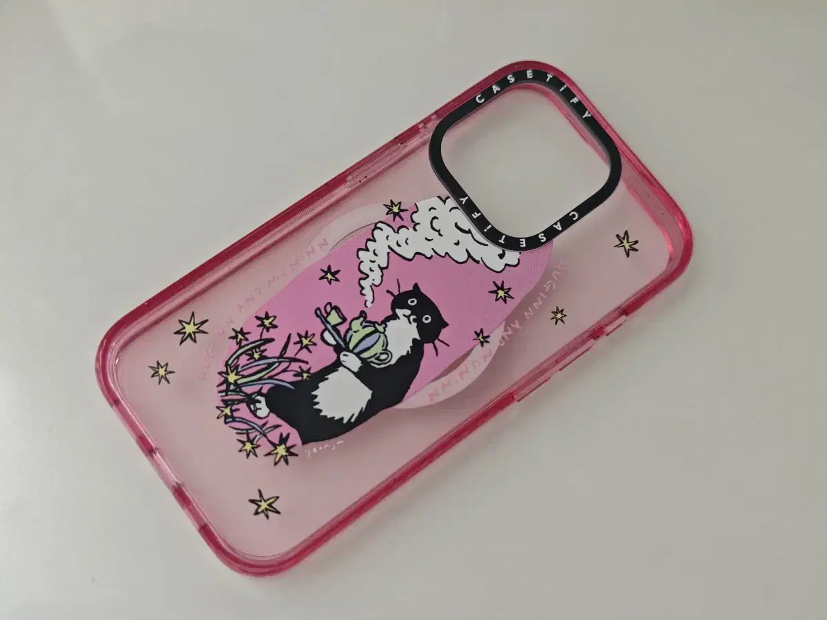 15 Pro Casetify
