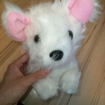 치와와 치와말 말티즈 봉제 인형 놀아주세요 강아지