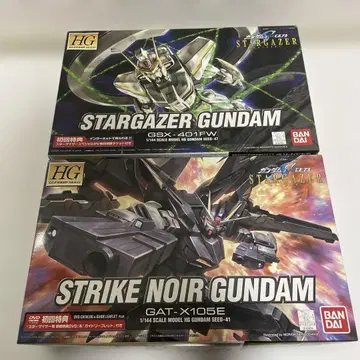 HG 스타게이저 건담 & 스트라이크 느와르 건담