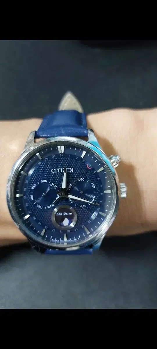 Citizen Moon Phase Blue Dial Ecco Drive Leather Band