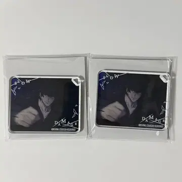 슬로우 데미지 슬로우 데미지 아크릴 플레이트 키체인 무늬 2개