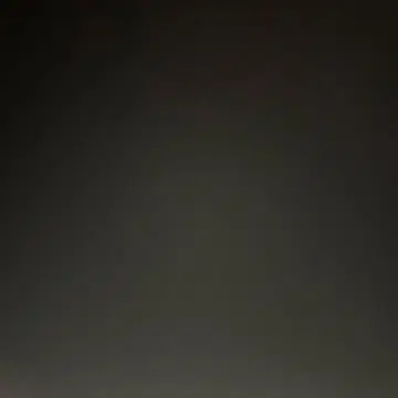 스니커즈