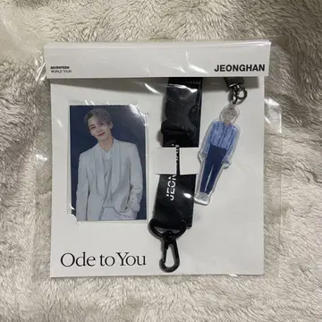 세븐틴 ode to you 서울 콘 랜야드 세트 정한