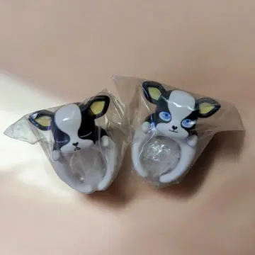 죠죠의 기묘한 모험 스타더스트 크루세이더즈 초코의 반지