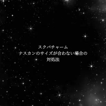 스쿨백 참에 대해