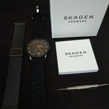 SKAGEN SKW6180
