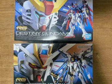 RG 스트라이크 프리덤 + RG 디스티니 + 빛의 날개 2종류