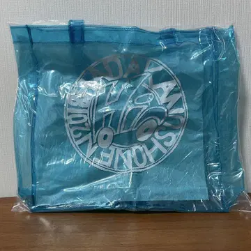 HiHi Jets 비닐 백