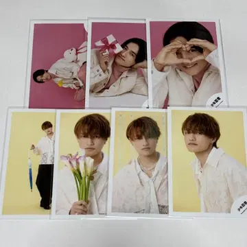 스즈키 유진 그리포