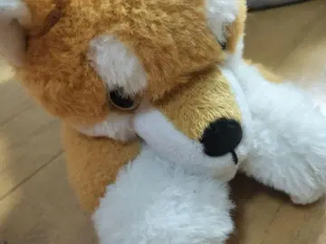 시바견 봉제 인형 지퍼 필통