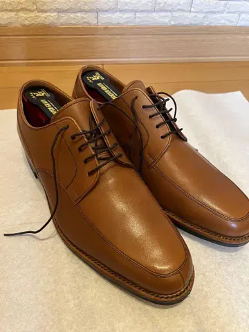 스카치 그레인 SCOTCHGRAIN 남성용 신발 F-70