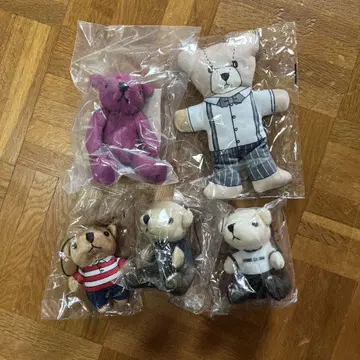 곰 마스코트 5개 세트