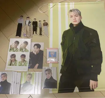 세븐틴 버논 정리