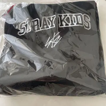 stray kids 스키즈 업그레이드 업그레이드 혜택 5/10 에코파