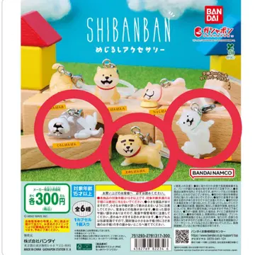SHIBANBAN 시반반 메지루시 액세서리 시로반반