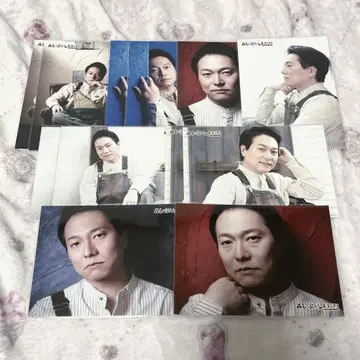 노지마 켄지 시푸이 브로마이드 12개