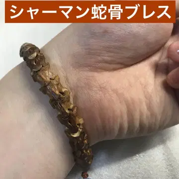 샤먼 뱀 뼈 팔찌