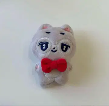 SEVENTEEN 원우 봉제 인형 마스터 10cm