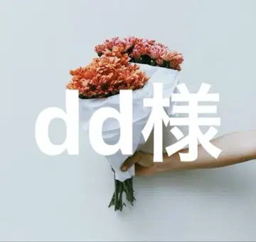 dd님