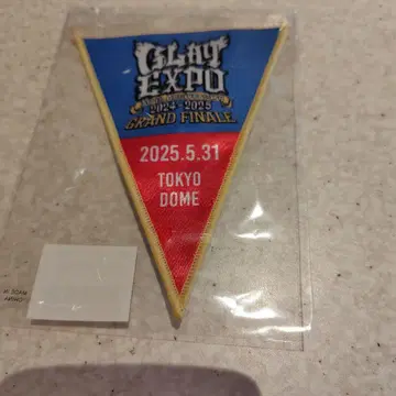 GLAY EXPO GRAND FINALE 기념 배지 5월 31일