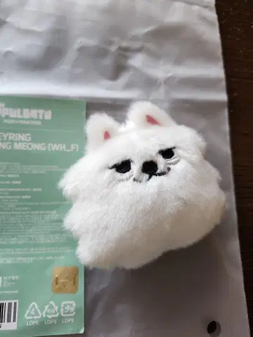 TXT PPULBATU 뿔바투 팝업 용몬 페이스 키링