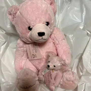 TeddyBear 핑크 봉제 인형