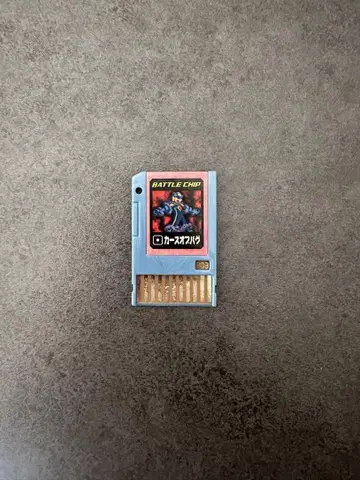록맨 에그제 배틀 칩 카스 오브 버그