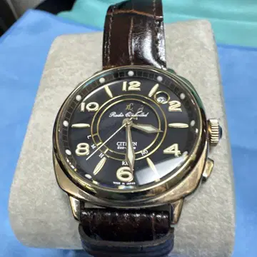 CITIZEN 펄 익스프레스 블랙