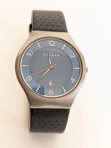 SKAGEN 손목시계 SKW6148 블루