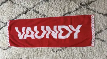 Vaundy 타월