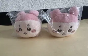 치이카와 네소베리 봉제 인형 헌책방 카니짱