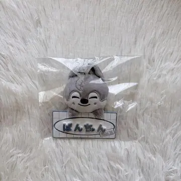 skzoo 울프짱 네임 백 참 스키즈 반짱