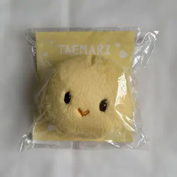 테민 테마리 파우치 미사용품