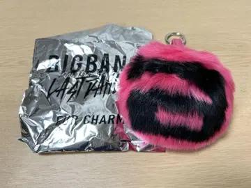BIGBANG 퍼 참 지용