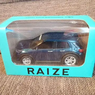 도요타 RAIZE 불 백 카