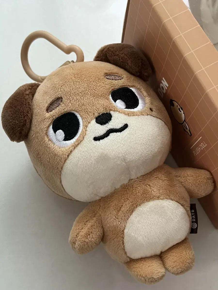 DAY6 Denimals Don 24 wts