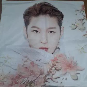 BTOB 찬섭 쿠션 커버 2장 세트