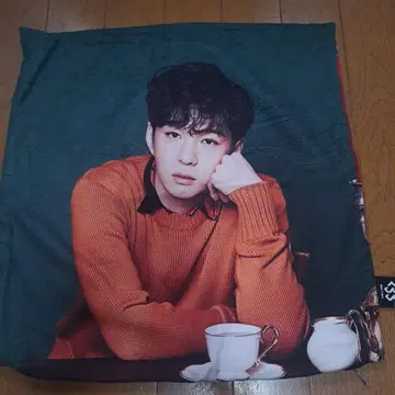 귀중품! BTOB 공식 쿠션 커버 창섭