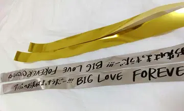 안주루무 긴테 카미코쿠료 모에 사사키 리카코