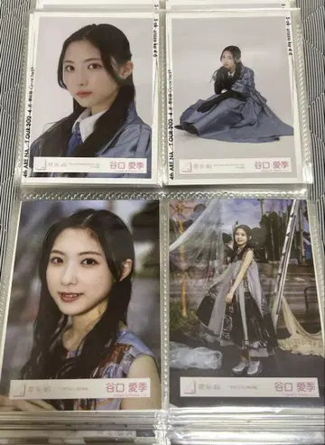 브로마이드 타니구치 아이리