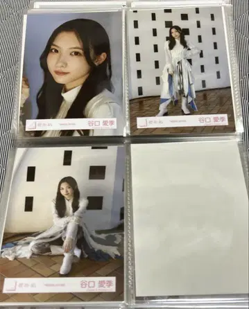 브로마이드 타니구치 아이리
