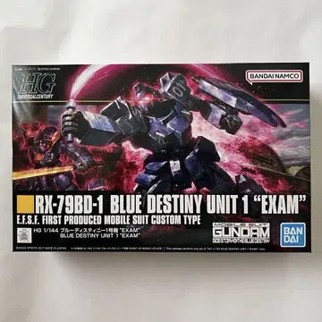 HG1/144 블루 디스티니 1호기 "EXAM"
