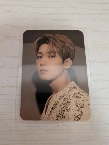 세븐틴 원우 Dicon 트레이딩 카드