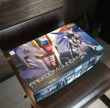 RG 1/144 ZGMF-X10A 프리덤 건담