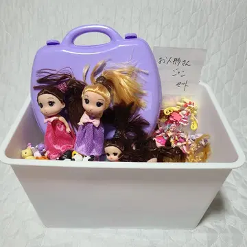 인형 세트 및 액세서리 세트