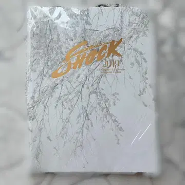 Endless SHOCK 2019 팜플렛