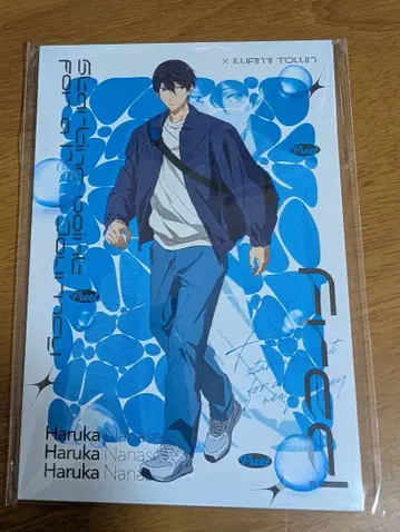 Free! 엽서 세트 이와미쵸