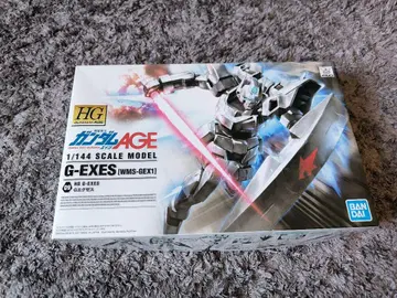 HG G 엑세스